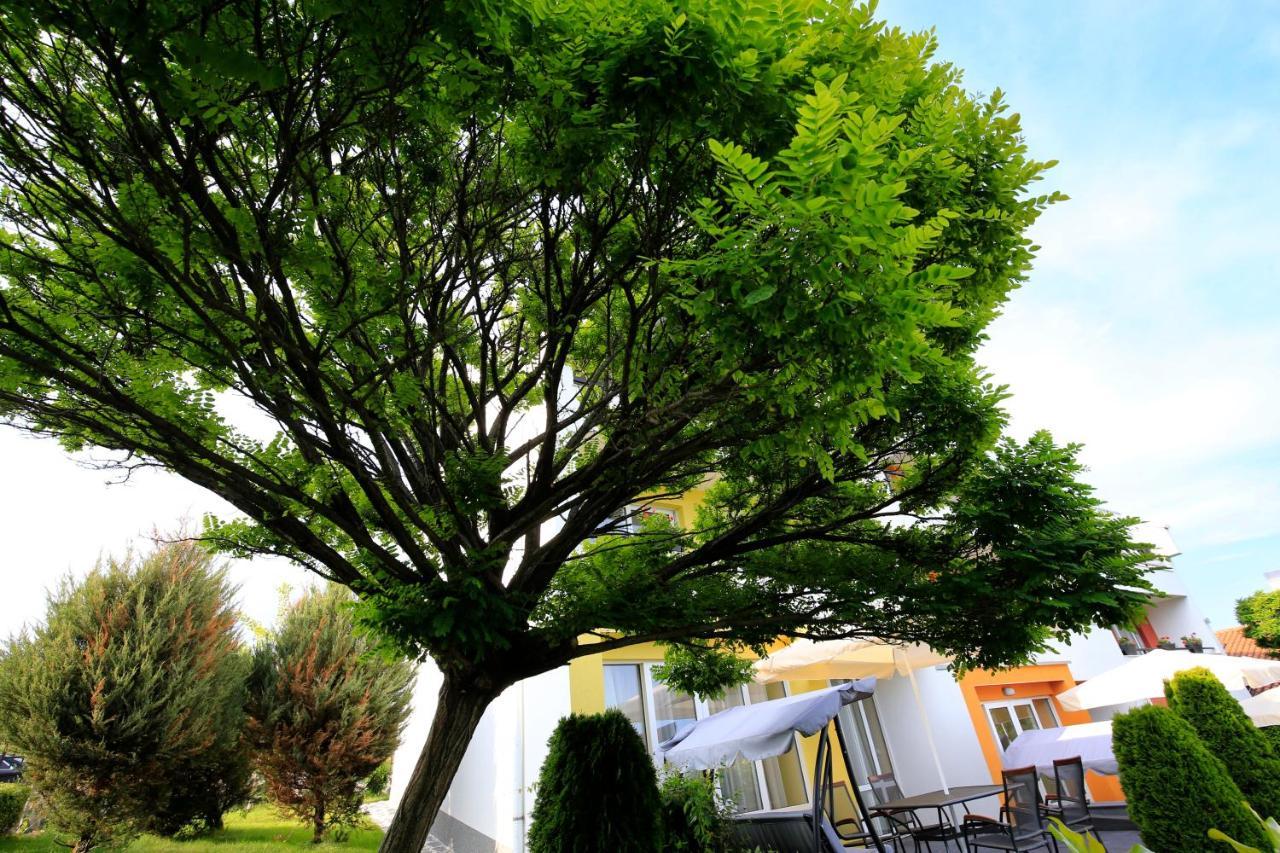 Stayinn Rainbow Houses Beachfront By Asteri Hotels Slantschew brjag Exterior foto